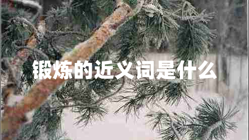 鍛煉的近義詞是什么