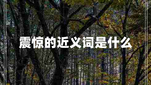 震驚的近義詞是什么