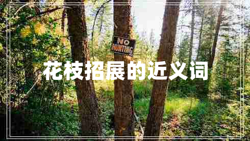 花枝招展的近義詞