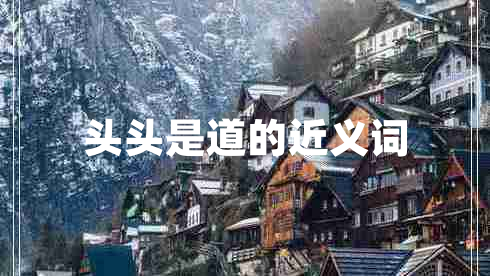 頭頭是道的近義詞 頭頭是道的近義詞