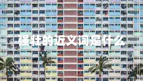 強(qiáng)壯的近義詞是什么