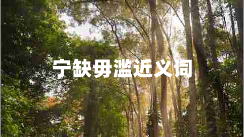 寧缺毋濫近義詞