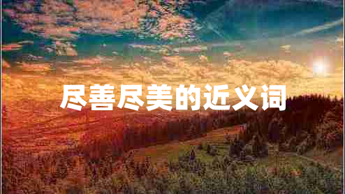 盡善盡美的近義詞