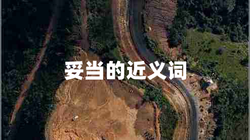 妥當(dāng)?shù)慕x詞