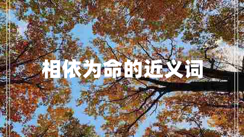 相依為命的近義詞