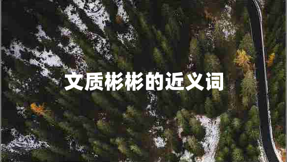 文質彬彬的近義詞