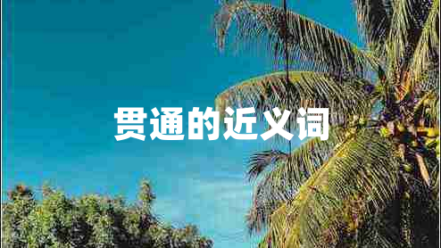 貫通的近義詞 貫通的近義詞