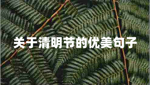 關于清明節(jié)的優(yōu)美句子 關于清明節(jié)的優(yōu)美句子