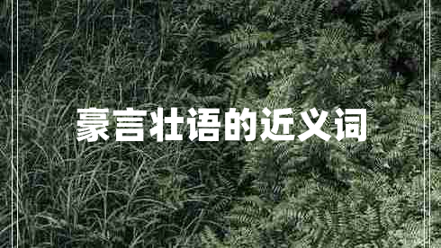 豪言壯語(yǔ)的近義詞