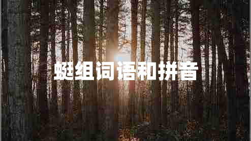 蜓組詞語(yǔ)和拼音