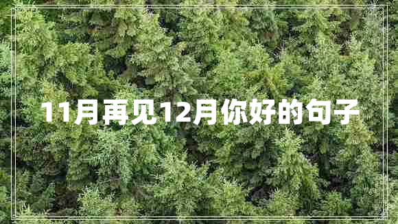 11月再見12月你好的句子