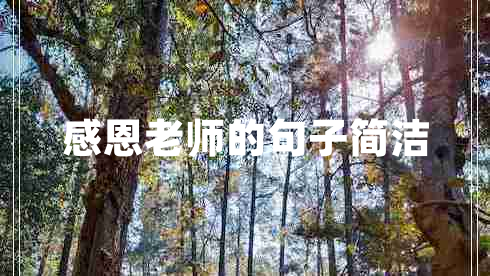 感恩老師的句子簡(jiǎn)潔