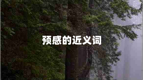 預(yù)感的近義詞