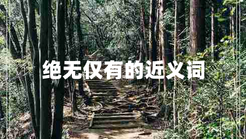 絕無僅有的近義詞