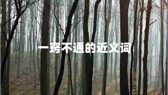 一竅不通的近義詞 一竅不通的近義詞