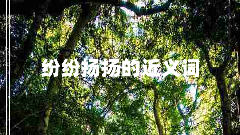 紛紛揚揚的近義詞