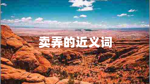 賣弄的近義詞 賣弄的近義詞