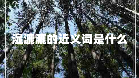 濕漉漉的近義詞是什么