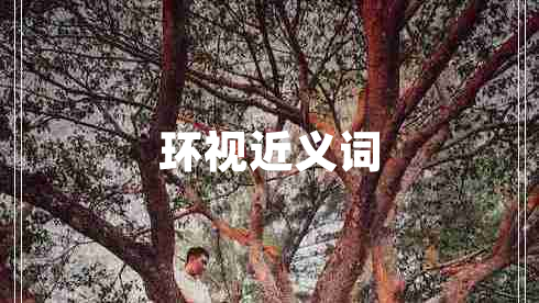 環(huán)視近義詞 環(huán)視近義詞