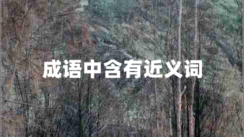 成語中含有近義詞