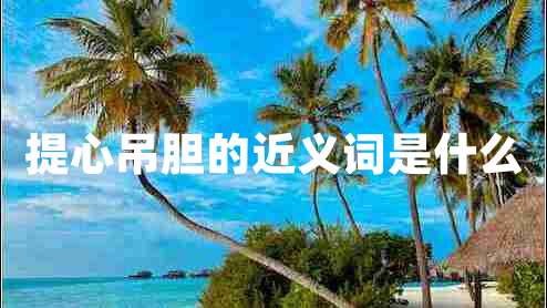 提心吊膽的近義詞是什么