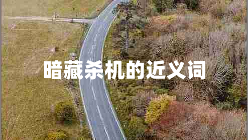 暗藏殺機(jī)的近義詞