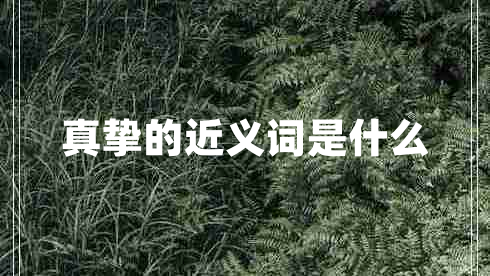 真摯的近義詞是什么