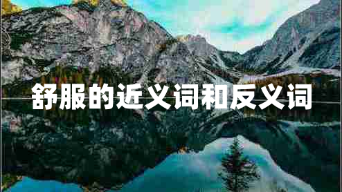 舒服的近義詞和反義詞 舒服的近義詞和反義詞