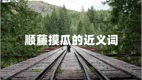 順藤摸瓜的近義詞