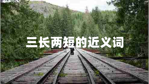 三長兩短的近義詞
