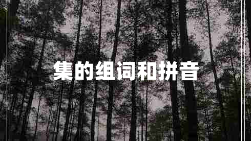 集的組詞和拼音