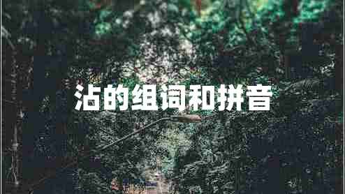 沾的組詞和拼音 沾的組詞和拼音