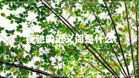 疾馳的近義詞是什么