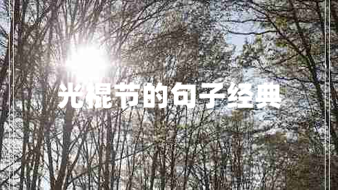 光棍節(jié)的句子經(jīng)典