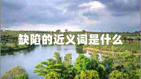 缺陷的近義詞是什么