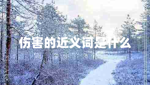 傷害的近義詞是什么