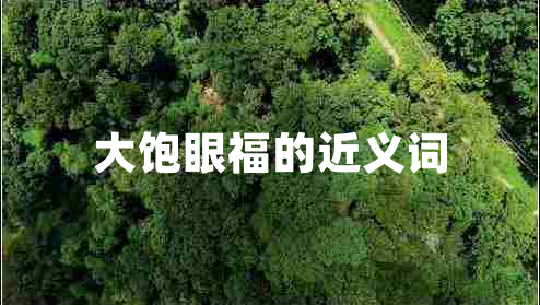 大飽眼福的近義詞