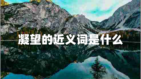 凝望的近義詞是什么