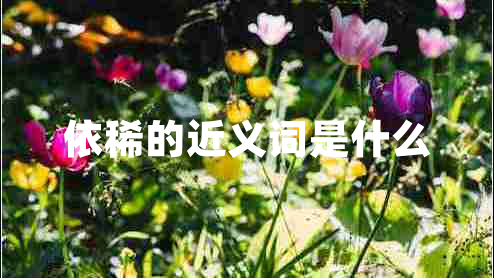 依稀的近義詞是什么 依稀的近義詞是什么