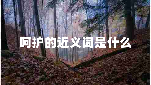 呵護的近義詞是什么