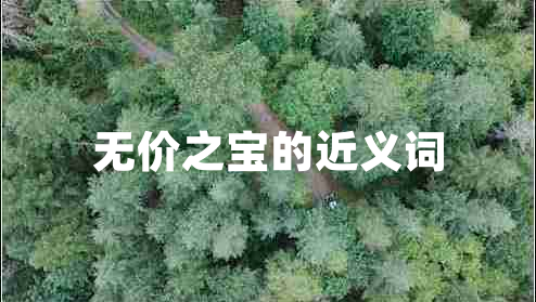 無價(jià)之寶的近義詞 無價(jià)之寶的近義詞