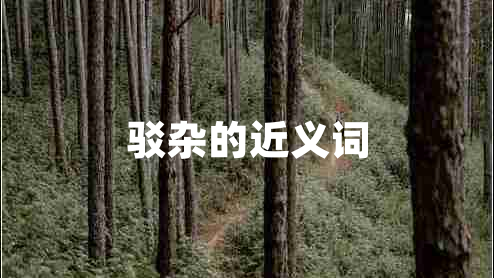 駁雜的近義詞 駁雜的近義詞