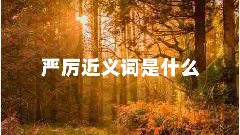嚴(yán)厲近義詞是什么