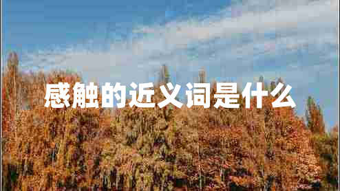 感觸的近義詞是什么