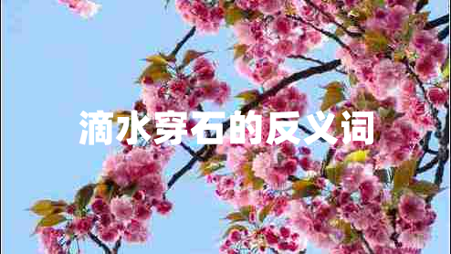 滴水穿石的反義詞 滴水穿石的反義詞