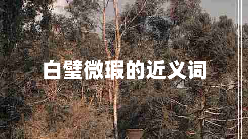 白璧微瑕的近義詞 白璧微瑕的近義詞