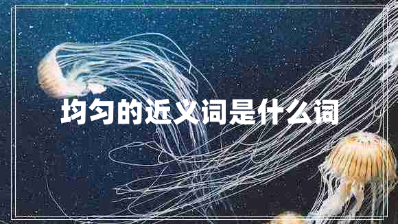 均勻的近義詞是什么詞