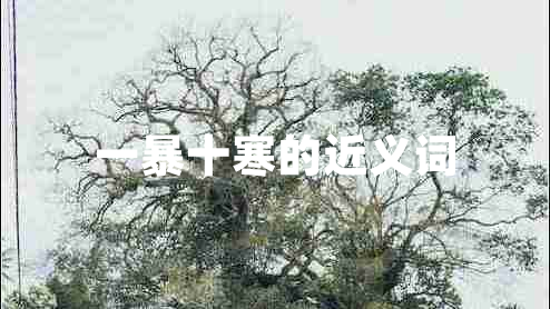 一暴十寒的近義詞 一暴十寒的近義詞