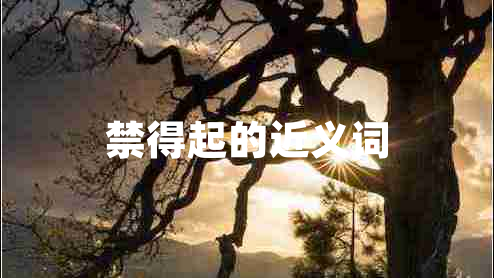 禁得起的近義詞