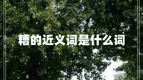 糟的近義詞是什么詞